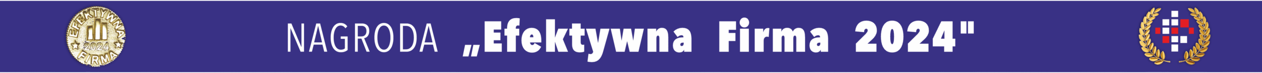 Efektywna-Firma baner