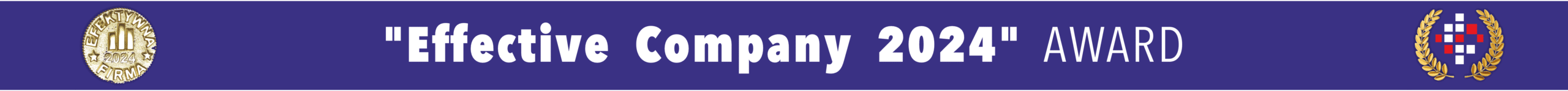 Efektywna-Firma baner EN