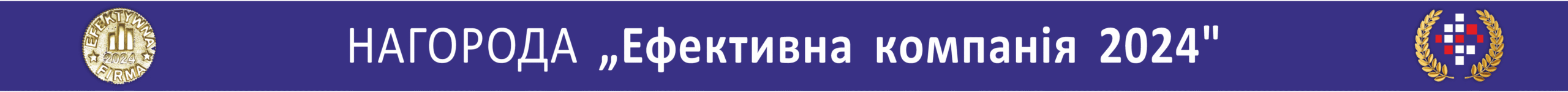 Efektywna-Firma baner UK